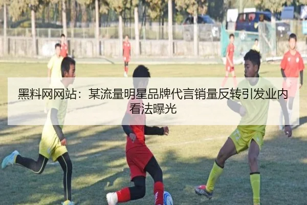 黑料网网站：某流量明星品牌代言销量反转引发业内看法曝光